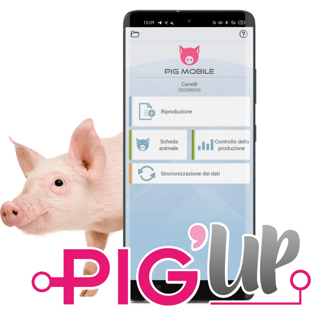 PROMO PIGUP - smartphone